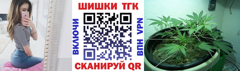 Купить где  Калязин  Бошки Шишки VHQ 